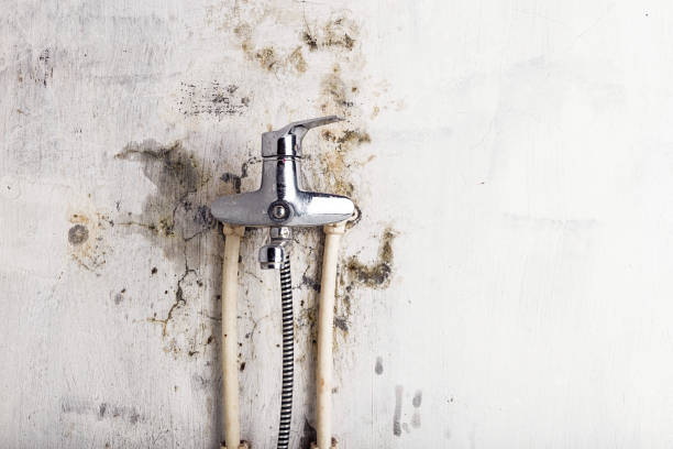 Best Water Damage Restoration  in Blue Island, IL