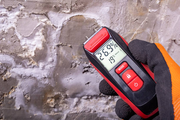 Best Crawl Space Mold Removal  in Blue Island, IL