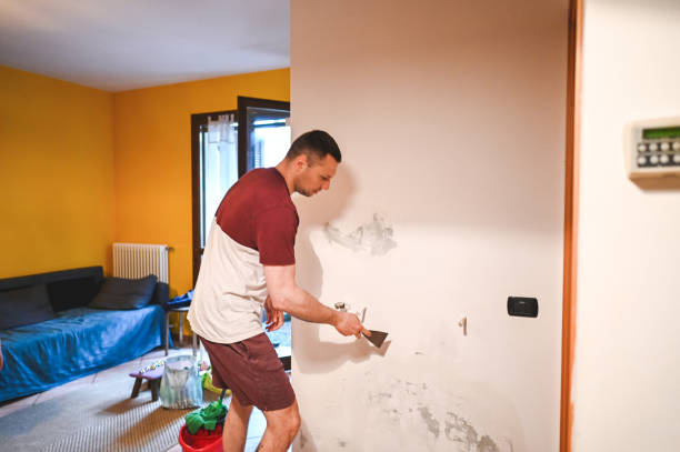 Best Black Mold Removal  in Blue Island, IL